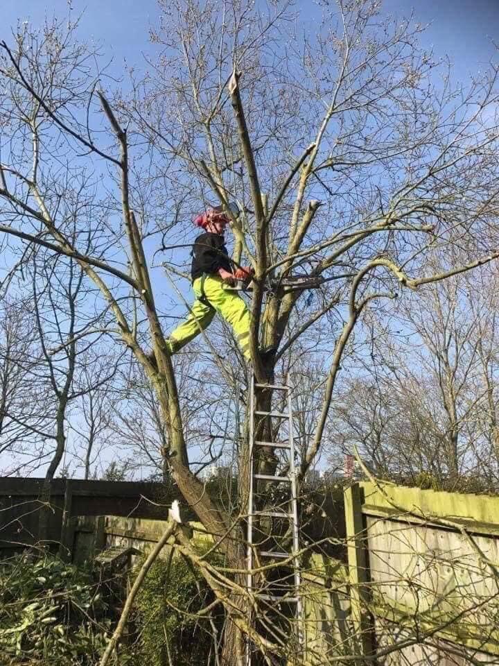 Robinsons Garden Services