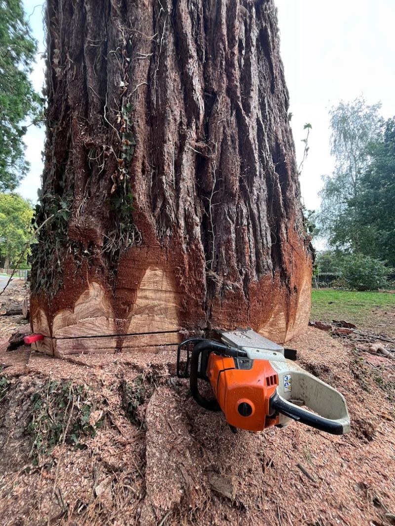 Clayton Brothers Tree Surgery