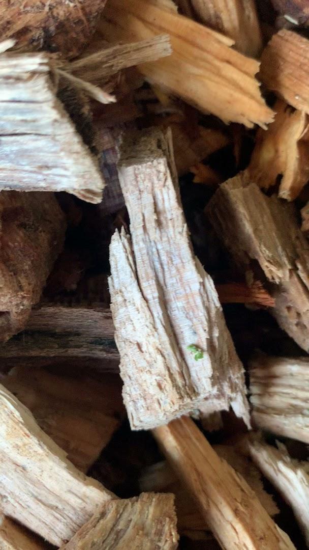 Firewood Fuel MK