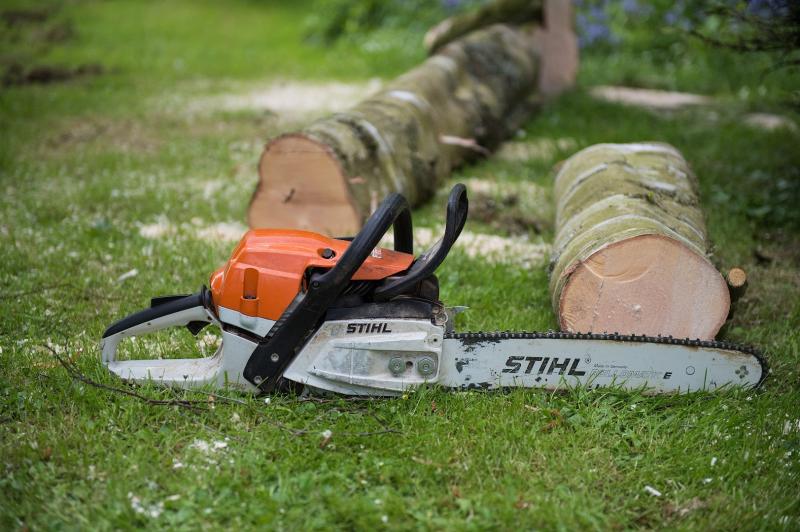 Eden Tree Specialists Ltd – Tree Surgeons Bedfordshire
