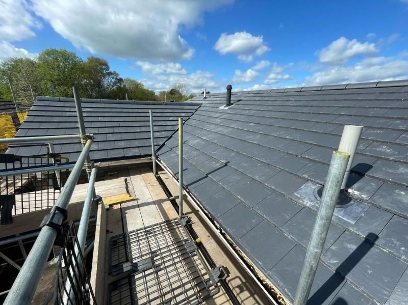 D Haynes Roofing