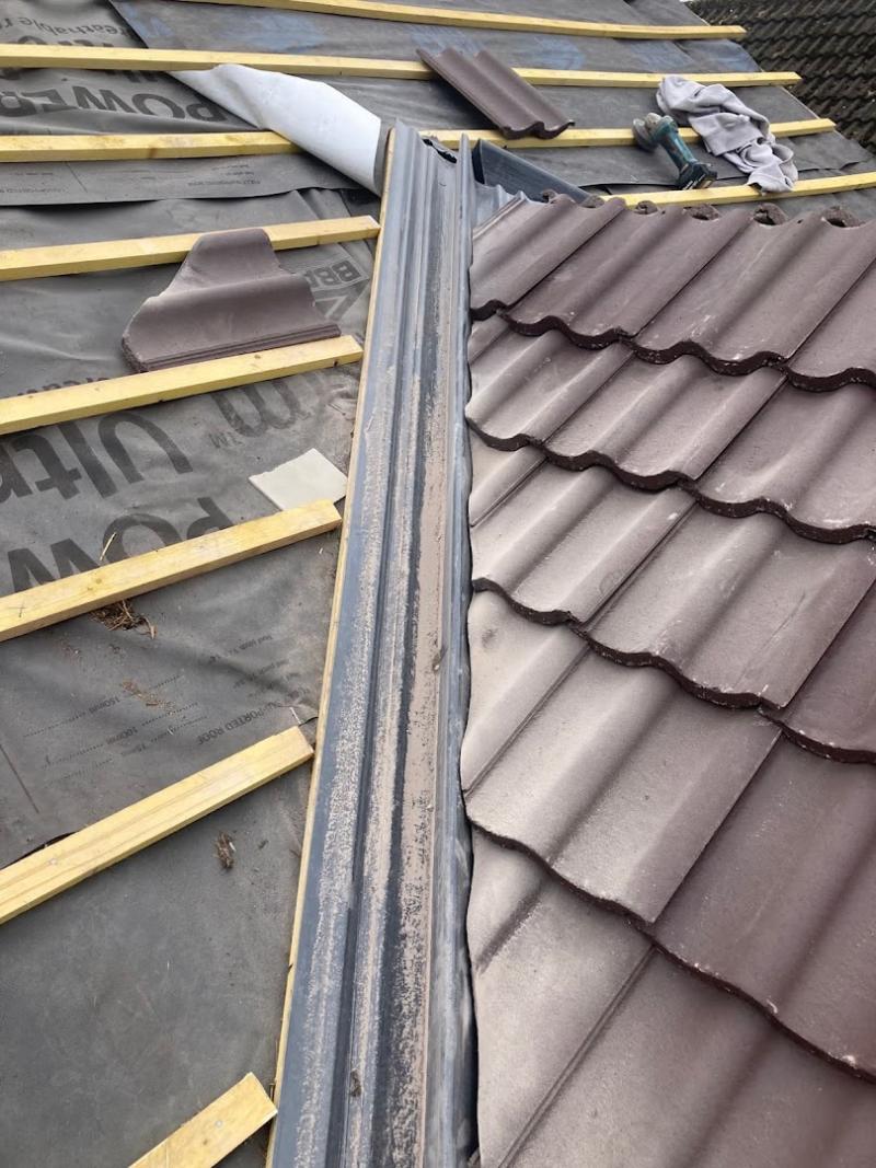 Detailed roofing and building