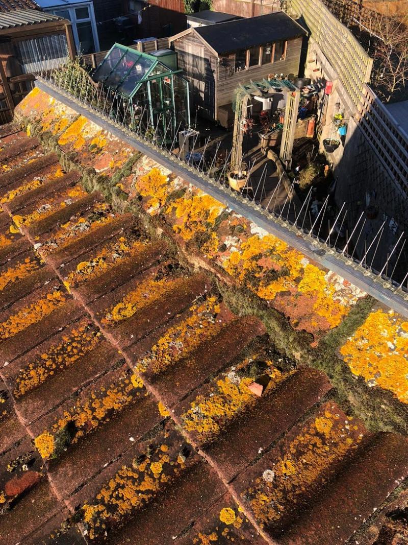 E Stanley & Son Roofing Services & Repairs