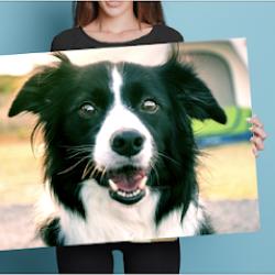 Snappy Snaps