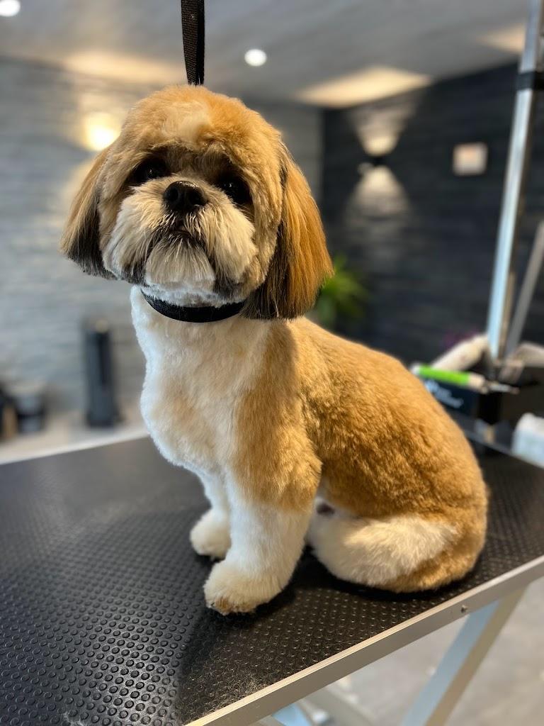 MKOK Grooming