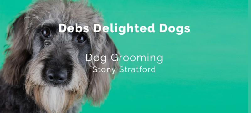 Debs Delighted Dogs – Dog Grooming