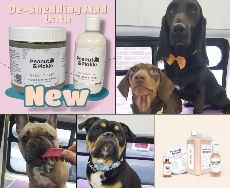 KK Dog Grooming