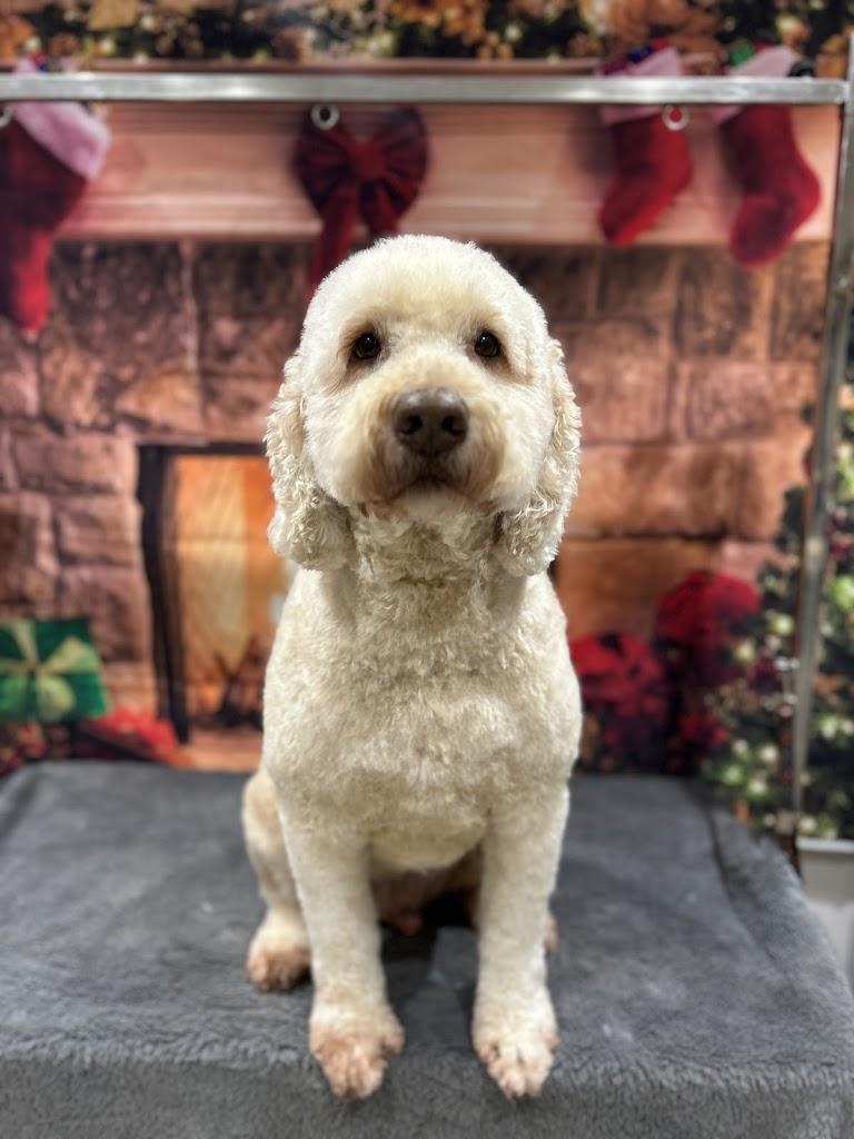 Gingermutts Dog Grooming