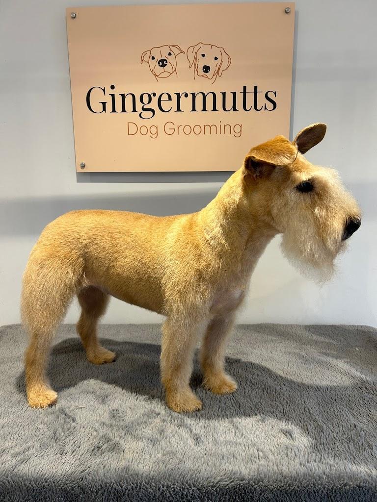 Gingermutts Dog Grooming
