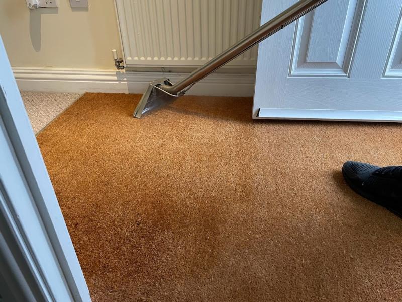Cleanways Carpet Cleaning