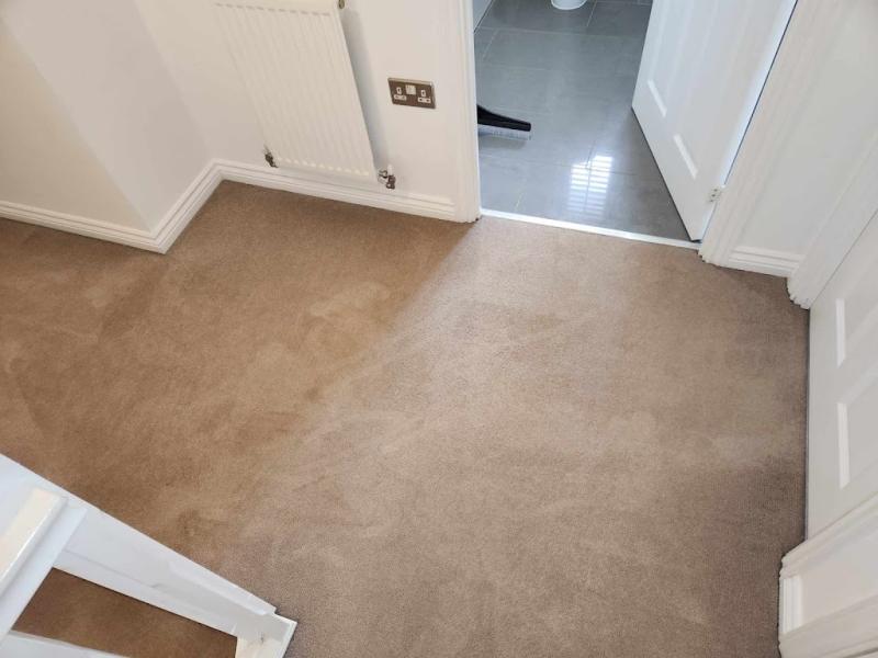 Patycleaning service