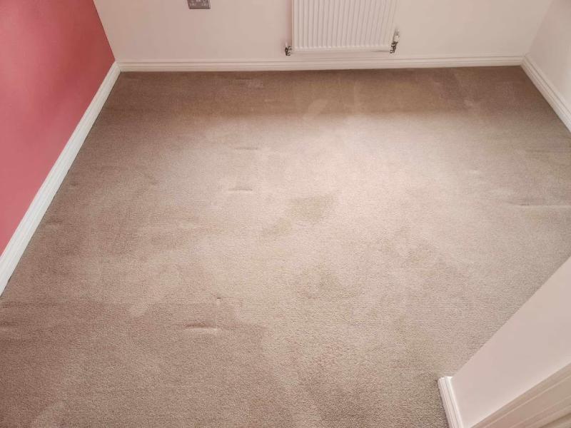 Patycleaning service