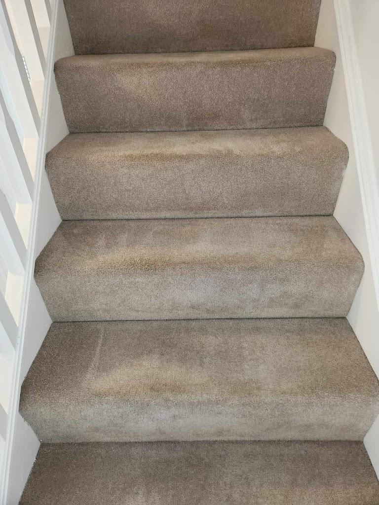 Patycleaning service