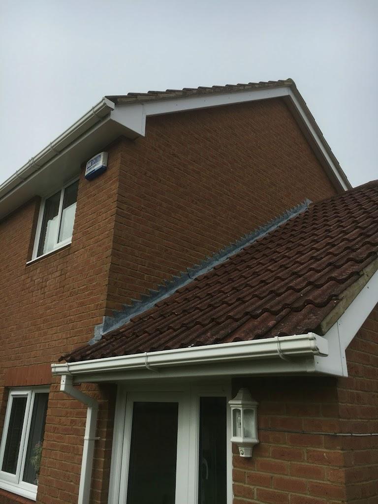 Dim2Dazzling window cleaning Services