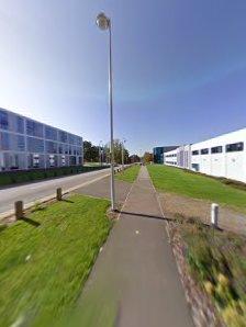 The Open University