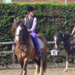 Bryerley Springs equestrian centre