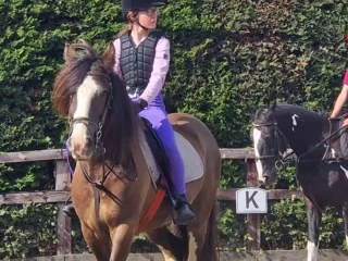 Bryerley Springs equestrian centre