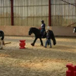 Bryerley Springs equestrian centre