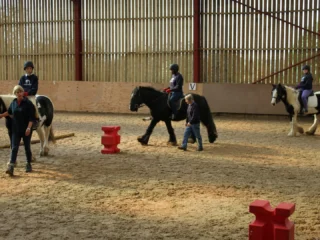 Bryerley Springs equestrian centre