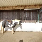 Bryerley Springs equestrian centre