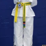 Kicks Taekwon-Do Academy – Newport Pagnell