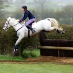 Milton Keynes Equestrian Centre