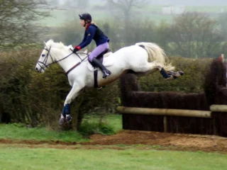 Milton Keynes Equestrian Centre