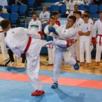 MK Shotokan Karate Academy
